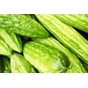 kitazawa 15+ Bitter Gourd seeds Bitter melon Seeds-Tai Gue- Asian