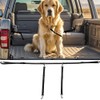 Dog Truck Bed Leash Tether Tie Down System for Two