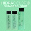HIDRACOLOR Hidra Matiz Shampoo Neutraliza Tonos, Matiza Cabello Rubio 500ml