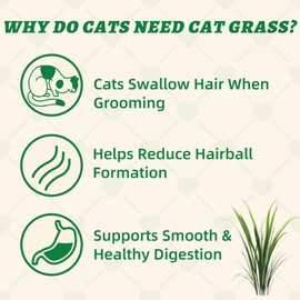Wellix Cat Grass Treats with Catnip, Hairball & Digestive Support, 13.05 oz