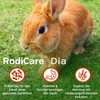 Alfavet RodiCare Dia, Supplementary Feed for Dwarf Rabbits and Guinea