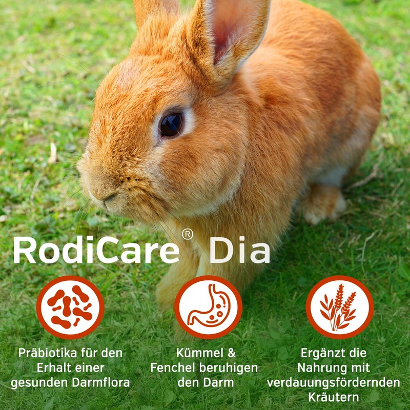 Alfavet RodiCare Dia, Supplementary Feed for Dwarf Rabbits and Guinea