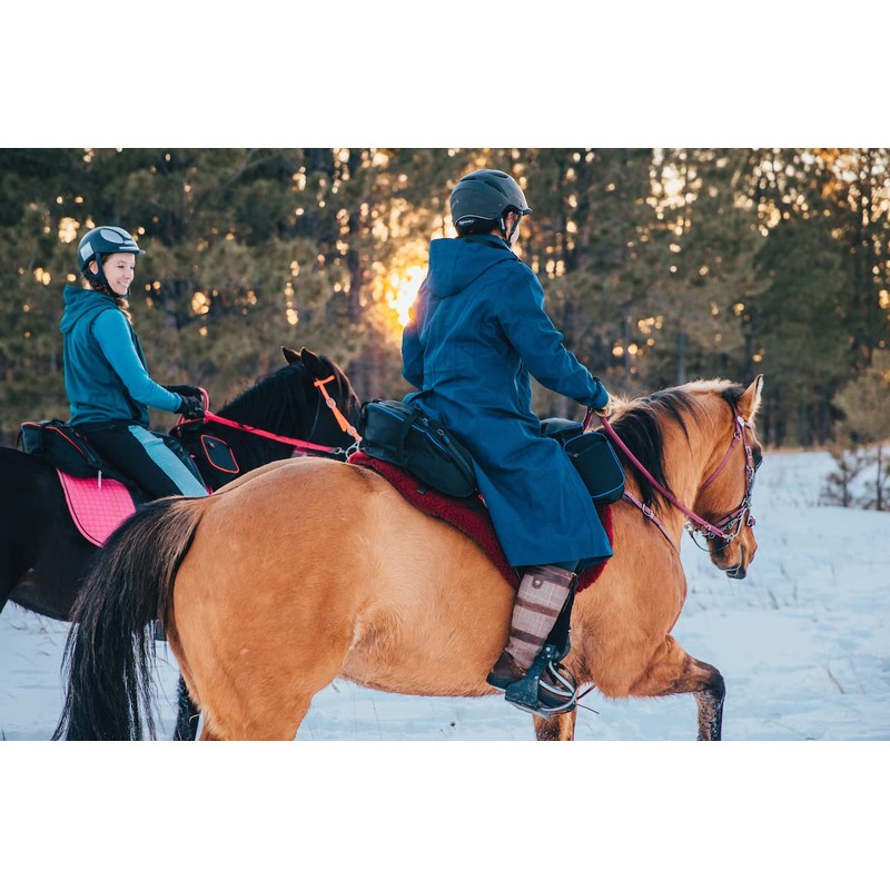 TrailMax English & Endurance Horse Saddle Bag; Horse Cantle Bag