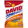 David Jumbo Sunflower Seeds Jalapeno Hot Salsa (Pack of 4)