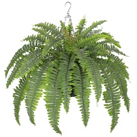 Hollyone 33" Artificial Boston Fern Hanging Basket Large 39 Leaves Fake Ferns in Rattan Pot Greenery Plants for Outdoors & Indoor Faux Fern Bush Basket Plant Patio Garden Home Decor Dusty Green