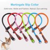 MayPaw Slip Collar Nylon Rope Adjustable Collar for Dog Training-