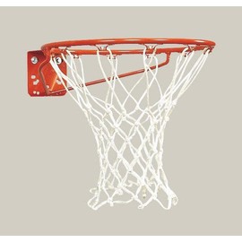 Economy Basketball Goal