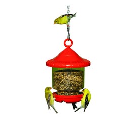 Songbird Essentials SE7013 Clinger Only Bird Feeder, Red