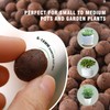 Natural Organic Clay Pebbles, 2LBS 8mm-18mm Expanded Leca Balls Plant