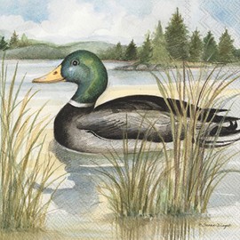 IHR Ideal Home Range Cocktail Napkins Disposable 3-Ply Paper Party Napkin Pack, 5" x 5", Mallard, 20-Count