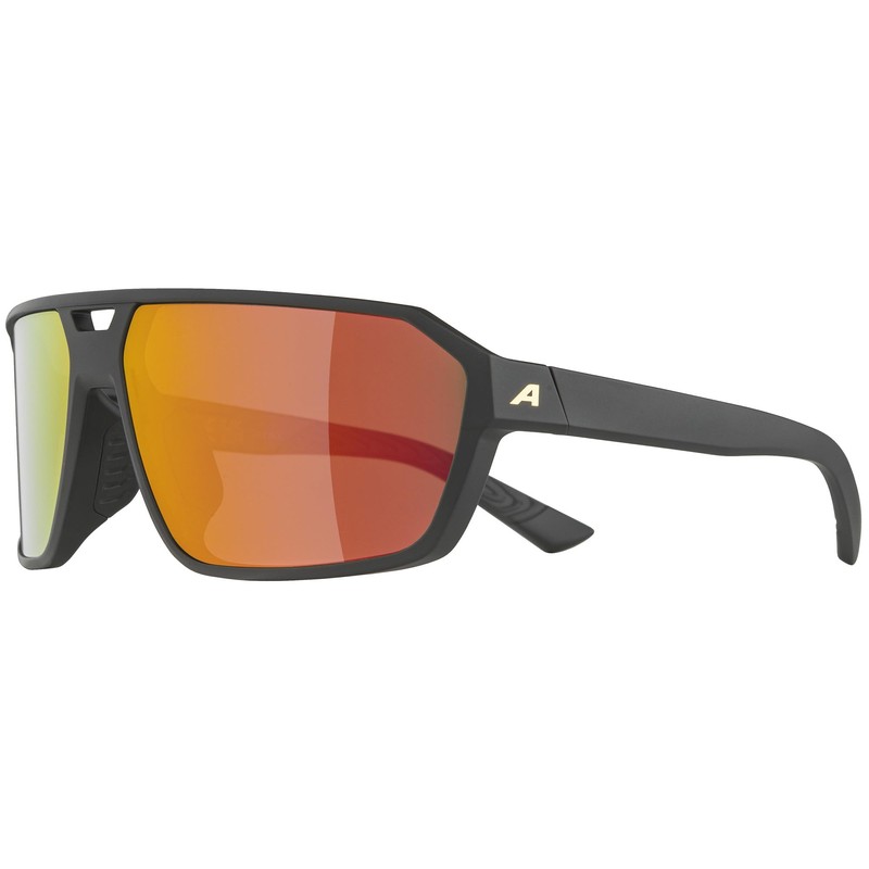 Alpina Swift Sunglasses, Matte Black/Gold, One Size