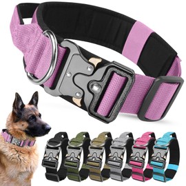 AKOFIC Tactical Dog Collar with Handle, Wide Dog Collar Padded Made of Nylon, Adjustable Robust Dog Collar with Metal Buckle for Medium Large Dogs (Purple, M)