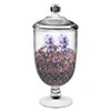 Bekmore Large Apothecary Jar with Airtight Lid in Premium Acrylic,