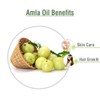 Salvia Amla (Emblica Officinalis) Essential Oil 100% Pure & Natural