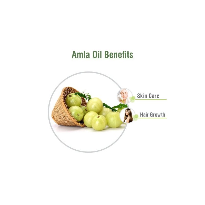 Salvia Amla (Emblica Officinalis) Essential Oil 100% Pure & Natural