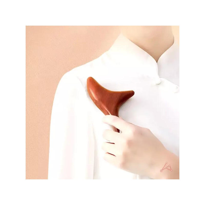 Hwariom 화리목 마사지기 Whale Tail Massager