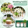 6Pcs Glass Plant Propagation Stations, Desktop Flower Vases, 3 Size