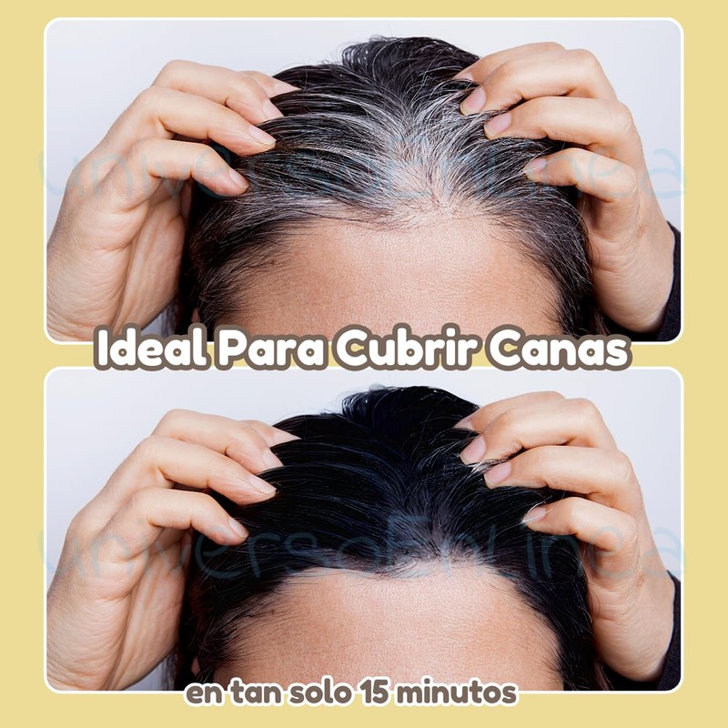 1pza - Shampoo Tinte Instantáneo Orgánico Natural Cubre Canas Cambia