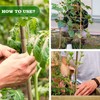 Jollybower 10pcs 1" D Thicker Heavy Duty Bamboo Stakes, 8FT