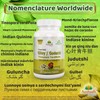 Pure Guduchi Capsules (Tinospora Cordifolia) - Natural Immune Support Supplement