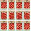 Set of 12 Tomato- Cherry Vegetable Seed Packs - Create