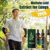 2Pcs Mullein Leaf Extract for Lungs Cleanse, Effective Mullein Drops