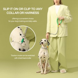 Maogoublue Lightweight Dog Leash, 4.9ft Adjustable Dog Training Leash Anti-Choking Swivel Lockable Hook and Comfortable Handle,Hands Free Lead Leashes for Small Dogs or Medium Dogs