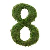 Lillian Rose Green Décor Moss Monogram Number 8 Wedding Table