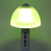Bluetooth Wireless Karaoke Mic Night Light Bluetooth Microphone for Party