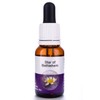 Living Essences Star Of Bethlehem 15ml
