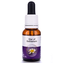 Living Essences Star Of Bethlehem 15ml
