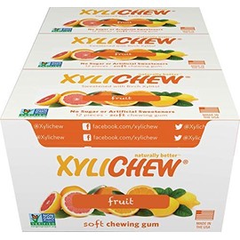 Xylichew 100% Xylitol Chewing Gum - Non GMO, Non Aspartame, Gluten Free, and Sugar Free Gum - Natural Oral Care, Relieves Bad Breath and Dry Mouth - Fruit, 288 Count