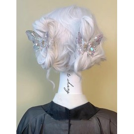 2Pcs Clear Butterfly Hair Claw Clips, Medium Acrylic Hair Clips Non-Slip Beautiful Hair Accessories for Girls and Women Cute Hair Clips (Clear)