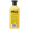 XHC Nourishing Banana Shampoo (Xpel Hair Care) 400ml