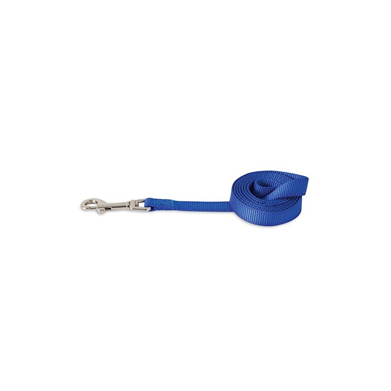 Doskocil Nylon Dog Lead 5/8"X4' Royal Blue