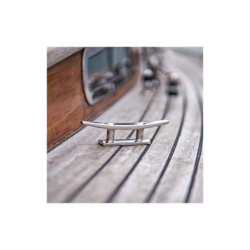 AISI 316 2-Hole Clamp Stainless Steel 100 mm