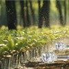 Gentle Garden Bubbler Sprinkler Heads - 2 Pack Aluminum Diffusers