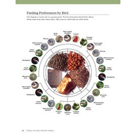 Birdhouses, Boxes & Feeders for the Backyard Hobbyist: 19 Fun-to-Build Projects for Attracting Birds to Your Backyard