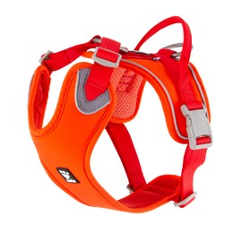 Hurtta Weekend Warrior ECO Dog Harness, Rose Hip, 39-47"