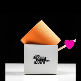 Renova Colored Toilet Paper Gift Box - 1 Compact Roll - 140 Sheets - 3 Ply - Septic Safe - Sustainable & Soft (Orange)