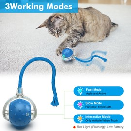 FLERDMAU Cat Toys Ball for Indoor Cats - Interactive Automatic Cat Ball Toy | Fast Rolling & Motion Activated Chirping | Hide and Seek Mouse Catching Game | Stimulates Hunting Instincts (Blue)