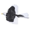 Bird Plane Toy 2 Channels Broken Resistant Remote Control Bird