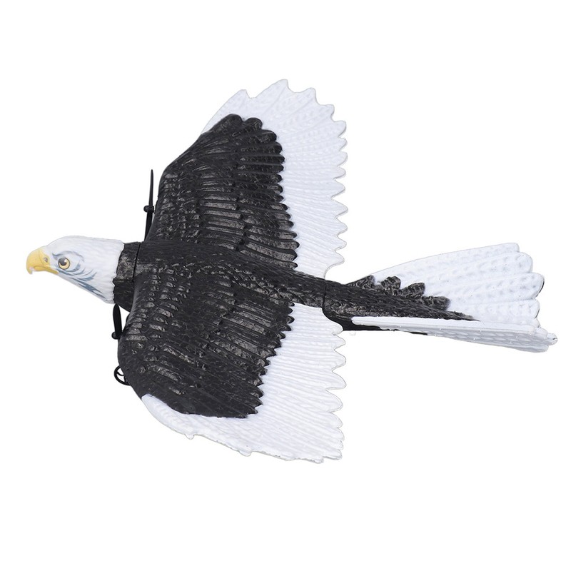 Bird Plane Toy 2 Channels Broken Resistant Remote Control Bird
