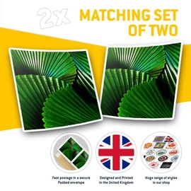 2 x 7.5cm Square Vinyl Stickers - Pleated Leaves Fan Palm Licuala Cordata Decals 46137