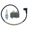 Ignition Coil With Spark Plug BM6A For Echo Shindaiwa Blower