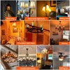 LiteHistory Dimmable 4W 2200K Amber CA10 led Bulb E12 Candelabra
