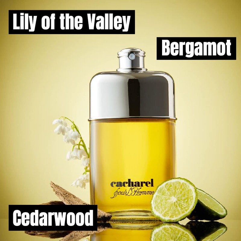 Cacharel Pour L'Homme Eau de Toilette Cologne for Men, Woody,