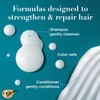 OGX Argan Oil Of Morocco Set, Shampoo & Conditioner, 13