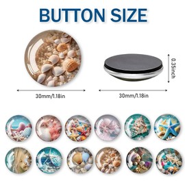 Yuqilin Pack of 12 Magnets Fridge Shell Magnets Set Children's Magnetic Board Decorative 3D Funny Magnets Refrigerator Magnets Round 30 mm for Whiteboards Refrigerators Photos (C)