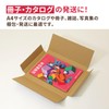 Earth Cardboard Click Post ID0783 Maximum Size A4 3cm Box